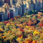 Central Park New York City