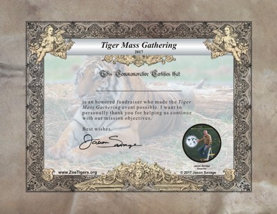 Tiger Mass Gathering Participant