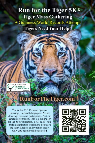 Run for the Tiger ad card